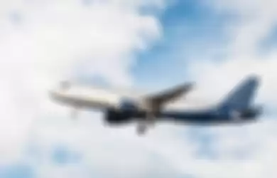 Ilustrasi pesawat Sriwijaya Air