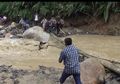 Bupati Labura Nyaris Setor Nyawa, Niat Temui Warga Korban Banjir Bandang Berbalas Detik-detik Menegangkan, Tercebur ke Sungai Saat Lintasi Jembatan Darurat Hingga Hampir Terbawa Arus Deras