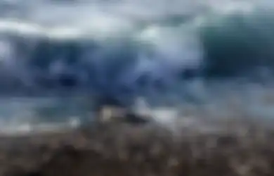 Terkait Viral Potensi Tsunami Selatan Jawa, BNPB Minta Warga Ingat Rumus 20-20-20, Apa Itu?