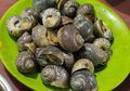 Meski Dianggap Menjijikan oleh Sebagian Orang, Siput Sungai Memiliki 5 Manfaat Luar Biasa Bagi Kesehatan