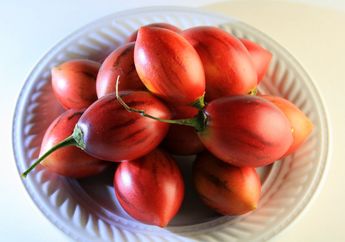 Gak Perlu Perlu Buru-buru Minum Obat, Darah Tinggi Ternyata Bisa Diatasi dengan Makan Terong Belanda! Efeknya Gak Main-main untuk Tubuh
