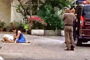 Putra Mahkota <a href='https://tribunmedan.cfd/tag/thailand' title='Thailand'>Thailand</a>, Pangeran Dipangkorn Rasmijoti bersimpuh kepada ibunya.