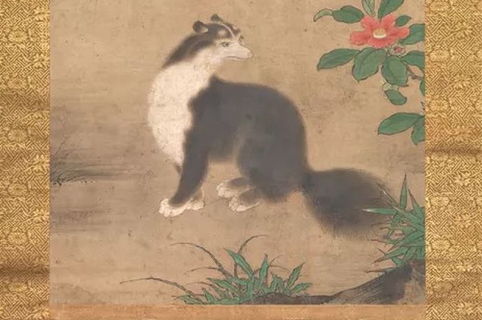 Dunia Hewan: Mengapa Banyak Kucing Memiliki "Kaus Kaki' Putih di Kaki