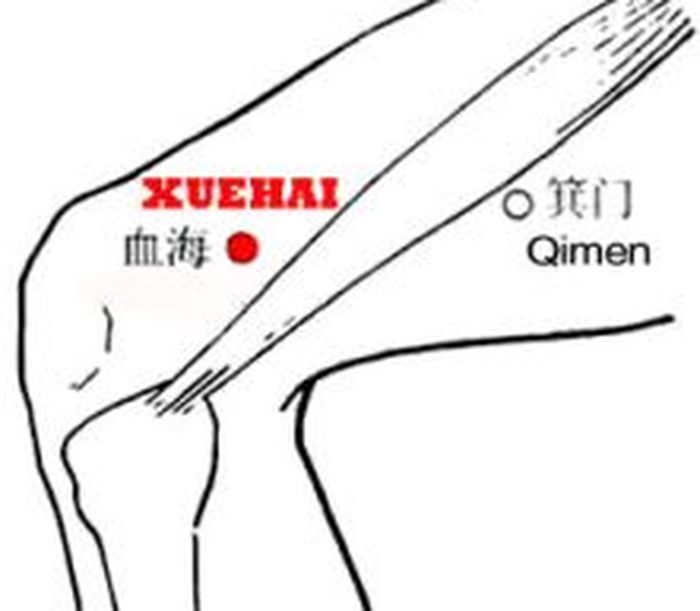 Titik xuehai, salah satu titik pijat untuk asam urat.