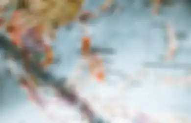 Apa Peran Indonesia dalam Bidang Ekonomi di ASEAN, Ini Terpenting!