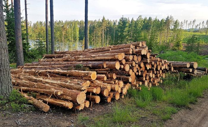 Sifat Sifat Benda Sifat Benda Padat Benda Cair Dan Benda Gas Semua Halaman Kids