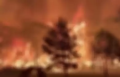 Ilustrasi kebakaran hutan