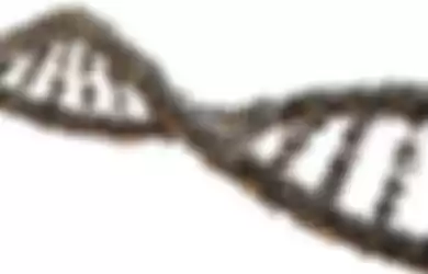Ilustrasi DNA dalam biologi. 