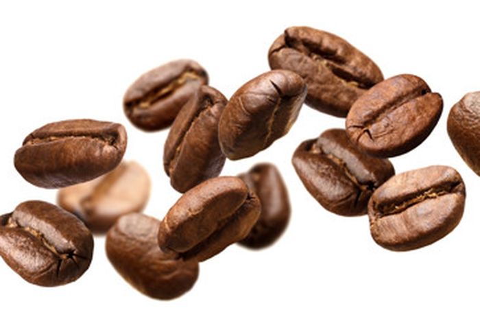 kopi untuk mengusir tikus curut