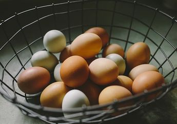 Spesial Saji-Sedap, Begini Cara Memilih Telur yang Segar serta Menyimpannya Agar Tahan Lama