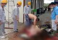 Roy Suryo Dibuat Murka, Heboh 5 TKA Asal China Tangkap dan Makan Buaya Sebesar 3 Meter di Konawe: Benar-benar Biadab!