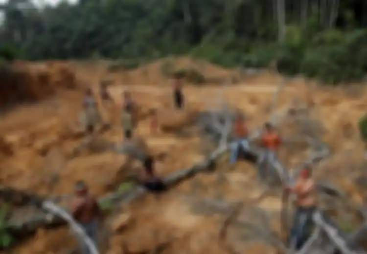 Ketakutan 'Suku-suku yang Hilang' di Amazon: 'Kami Sedih Karena Hutan Hampir Mati'