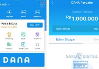 Waduh! Ini 4 Penyebab DANA Paylater Tidak Muncul dan Tidak Bisa Digunakan Lengkap dengan Cara Mengatasinya