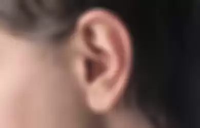 Ilustrasi telinga