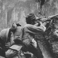 Bertengger di Pucuk Pohon, Sniper Jepang Pantang Keluar Sarang Sebelum Jadi Mayat, Hanya Bisa Ditumbangkan dengan Senapan Mesin Antitank