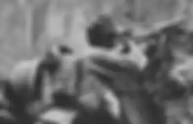 Bertengger di Pucuk Pohon, Sniper Jepang Pantang Keluar Sarang Sebelum Jadi Mayat, Hanya Bisa Ditumbangkan dengan Senapan Mesin Antitank