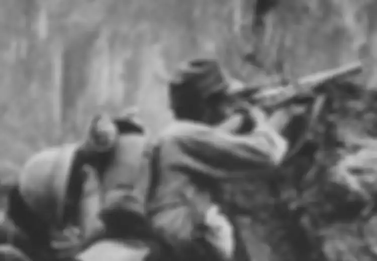 Bertengger di Pucuk Pohon, Sniper Jepang Pantang Keluar Sarang Sebelum Jadi Mayat, Hanya Bisa Ditumbangkan dengan Senapan Mesin Antitank