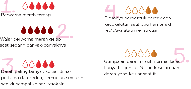 chart darah