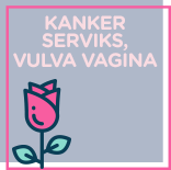 Kanker Serviks Vulva Vagina