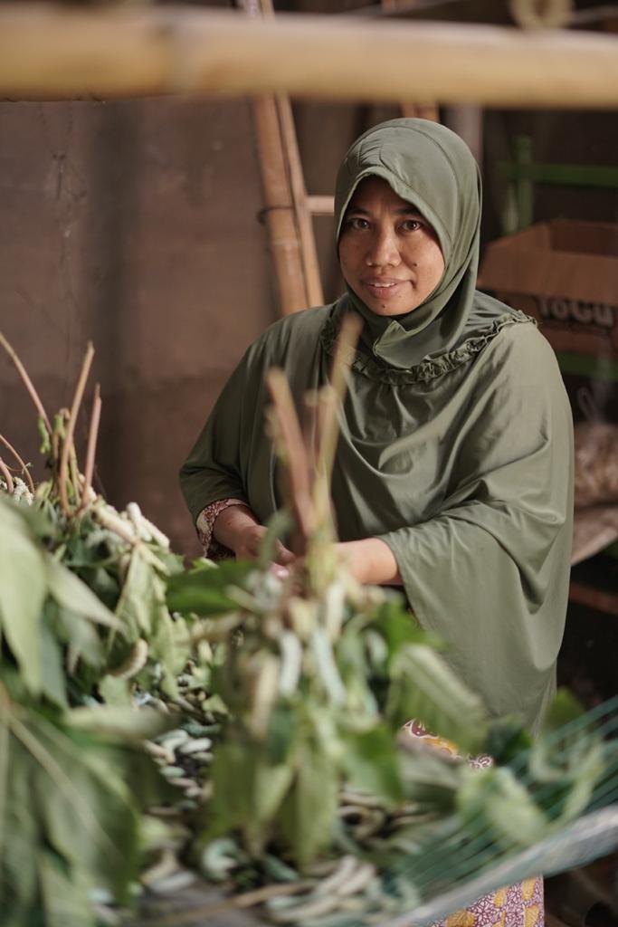Dari 20 petani sutra yang bertahan saat ini, 50 persennya adalah petani perempuan yang merupakan Ibu